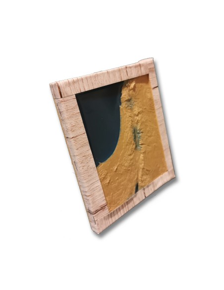 3D Printed Map of Palestine