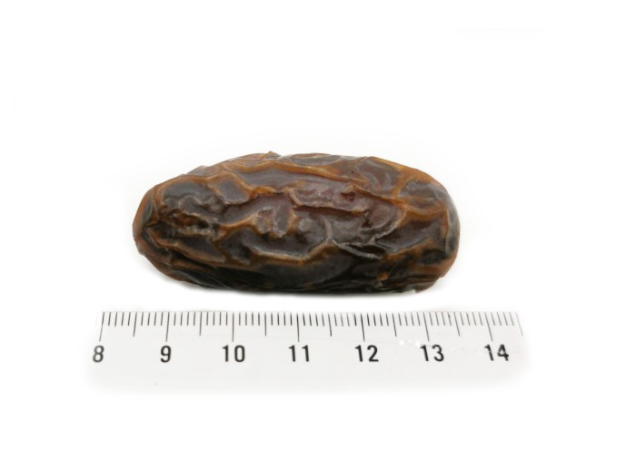 تمر مدجول فلسطيني 250 غ - جامبو عادي