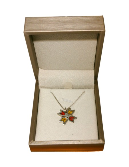 Collier Étoile de Canaan