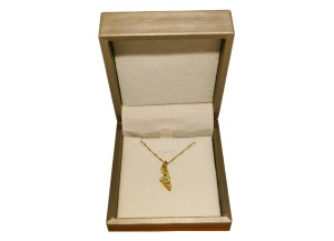 Palestine Mini Map Necklace - Transparent - Gold-Plated...
