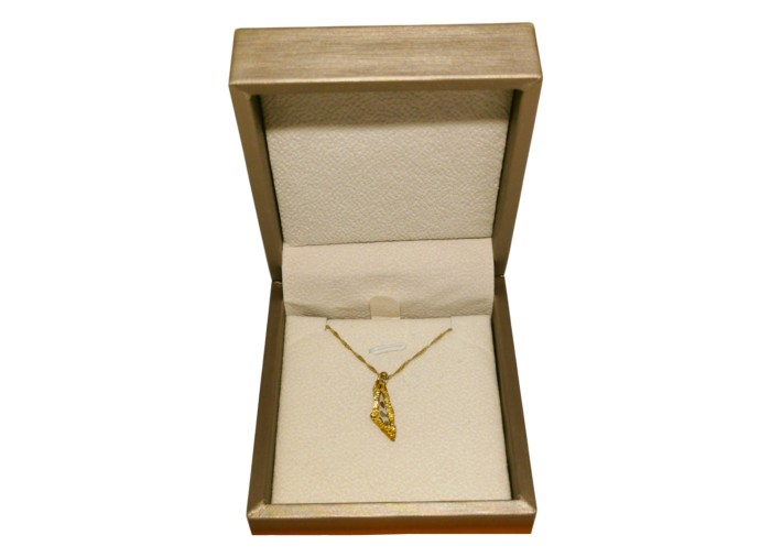 Palestine Mini Map Necklace - Transparent -...