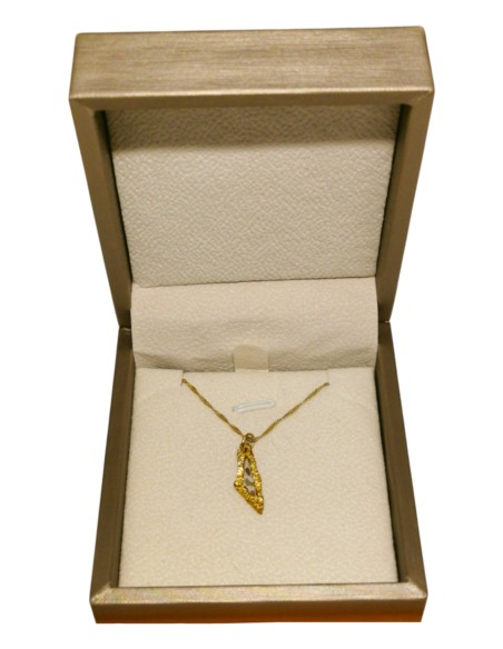 Palestine Mini Map Necklace - Transparent - Gold-Plated Silver