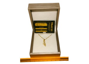 Palestine Mini Map Necklace - Transparent - Gold-Plated... 2