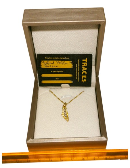 Palestine Mini Map Necklace - Transparent - Gold-Plated Silver