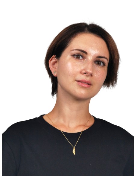 Mini-Palästina-Karten-Halskette - Silber vergoldetes