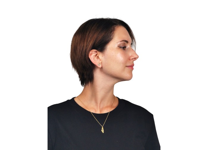 Palestine Mini Map Necklace - Transparent -...