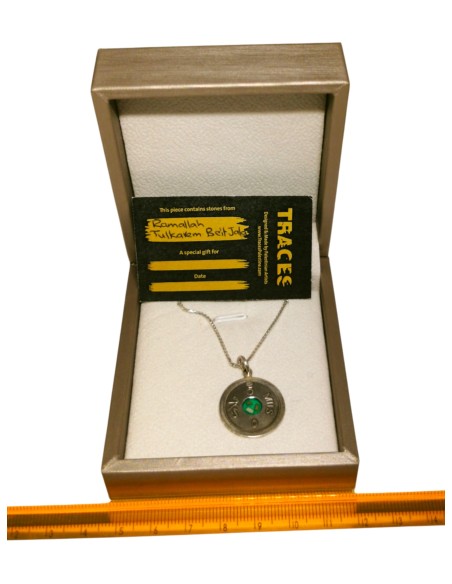 Collier Carte Miniature de la Palestine - Argent -vert