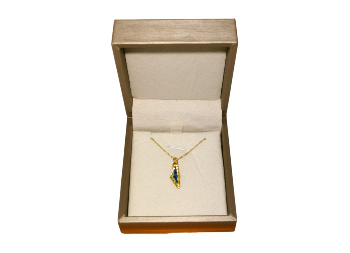 Palestine Mini Map Necklace - Gold-plated...