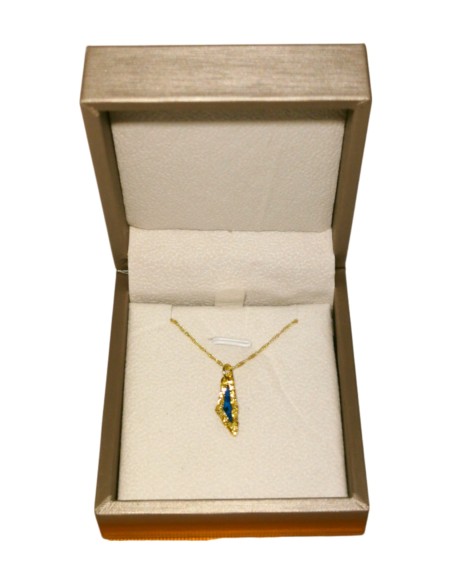 Palestine Mini Map Necklace - Gold-plated silver - Green