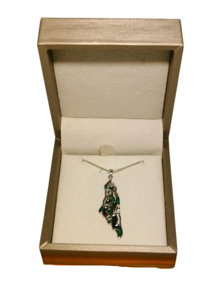 Collier Carte – Citation de Darwish - Argent