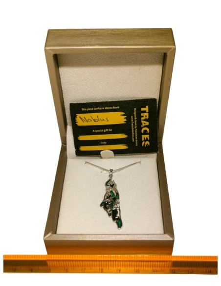 Collier Carte – Citation de Darwish - Argent