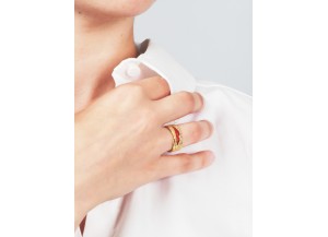 Palestine Map Ring - Gold-Plated Silver - Red