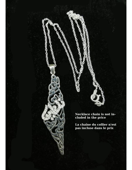 Palestine Map with Palestine Arab Calligraphy, Inscription Crystal, Necklace  Silver Women's Jewelry
