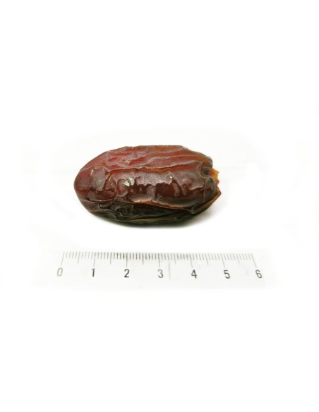 Dates.Medjooldates.Palestine.Vegeteranian.Fairtrade.Healthyfood.Natural-Halal-Package-1-Kg-Large-Premium Dates.Medjooldates.Palestine.Vegeteranian.Fairtrade.Healthyfood.Natural-Halal-Package-1-Kg-Large-Premium